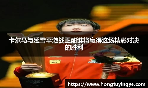 卡尔马与延雪平激战正酣谁将赢得这场精彩对决的胜利